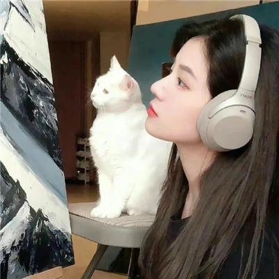 新蝶恋花